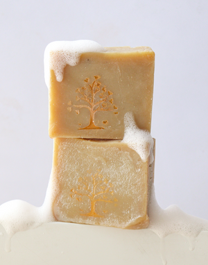 Dead Sea Mud Soap